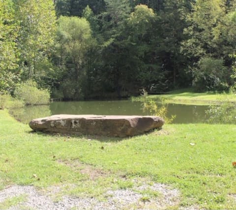 Stocked pond with fountain, sits right in front of home
