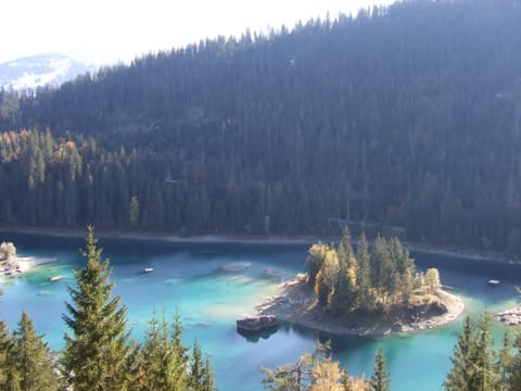 Walking distance from the Apartment, or take a free bus