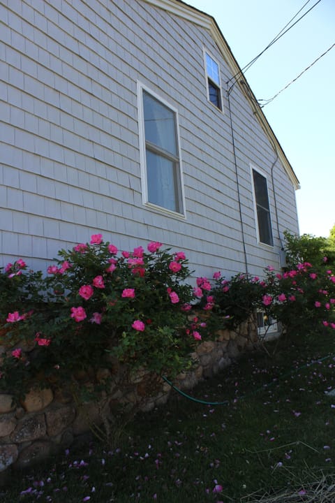 4 Bedroom Cottage, 1 mile from beach with large yard, great for families!
