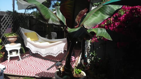 Brazilian hammock in the shade.  Umbrella lights up at night.  