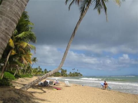 Beach | Beach nearby, sun loungers, beach towels