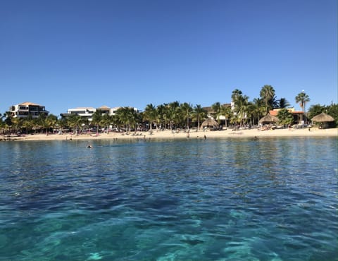 Beach nearby, sun loungers, beach towels