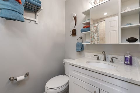 Combined shower/tub, towels, toilet paper
