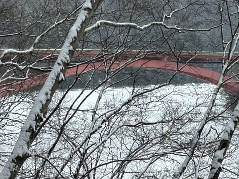 Winter view of the iconic Clarion River Bridge.