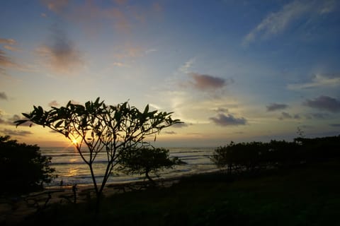 Beach nearby, sun loungers, beach towels