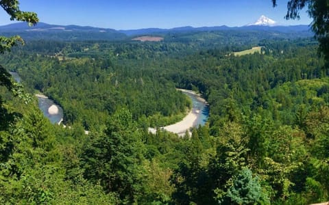 View from the back deck of the Lodge