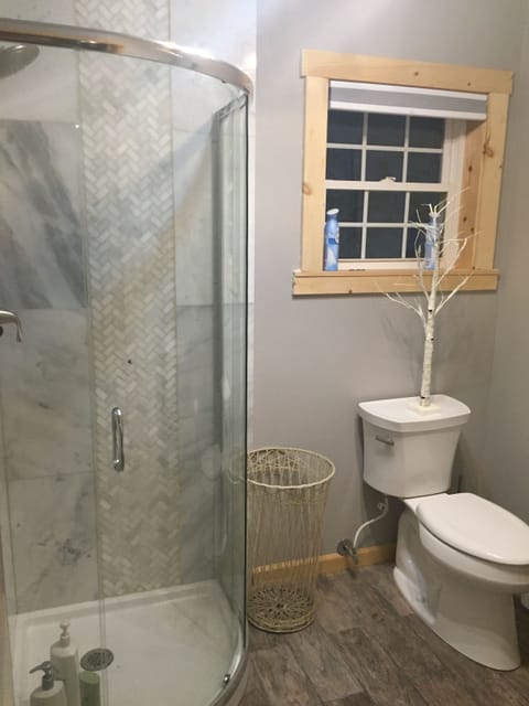 Combined shower/tub, hair dryer, towels, soap