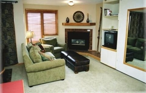 Smart TV, fireplace, video games, DVD player