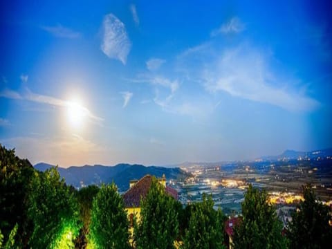 Region [summer] (>5 km)