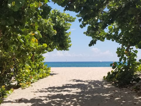 Beach nearby, sun loungers, beach towels