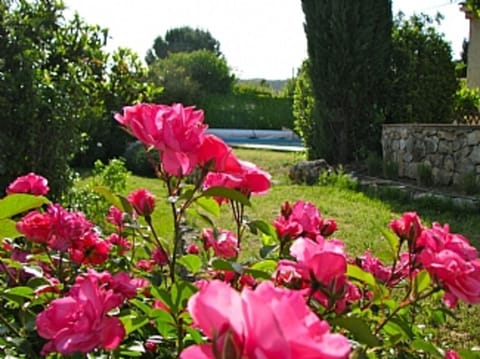 Les Olives roses May 2012