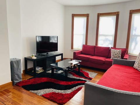 TV, fireplace, books