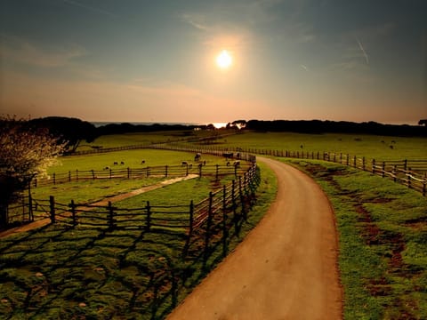 Region [summer] (>5 km)