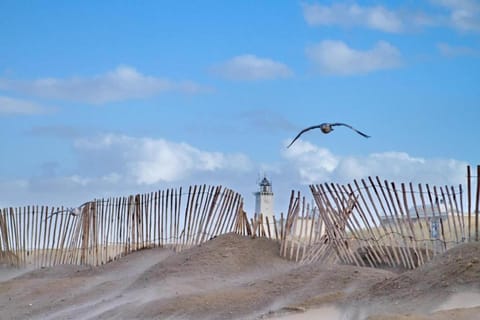 Surroundings [summer] (1-5 km)