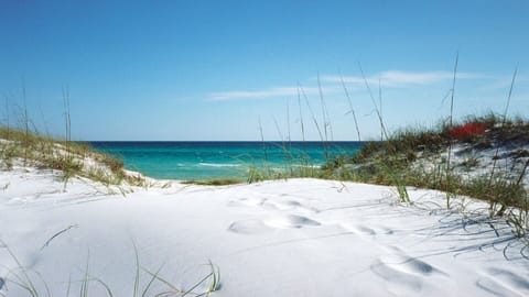 Sun loungers, beach towels