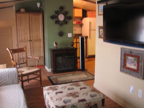 Flat-screen TV, fireplace, DVD player, books