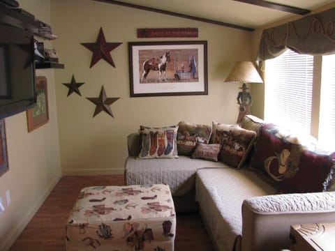 Living area | Flat-screen TV, fireplace, DVD player, books