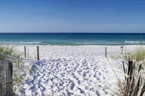 On the beach