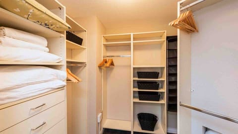 The master bedroom's walk-in closet...