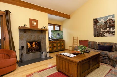 Living area | Fireplace, DVD player