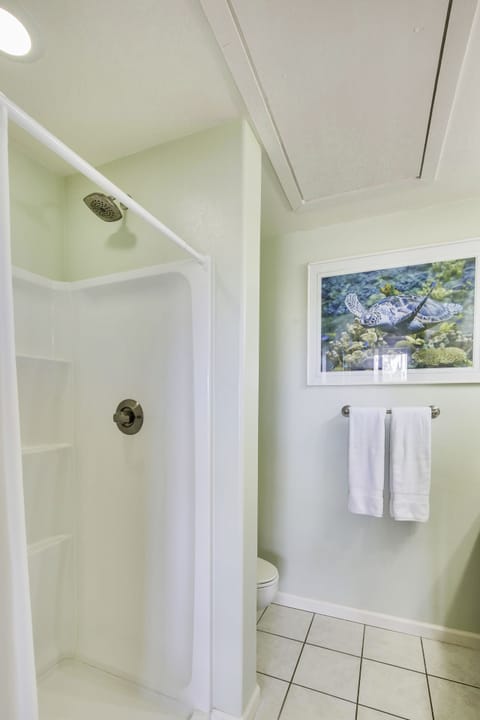 Combined shower/tub, hair dryer, towels