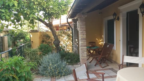 The Lemon Tree