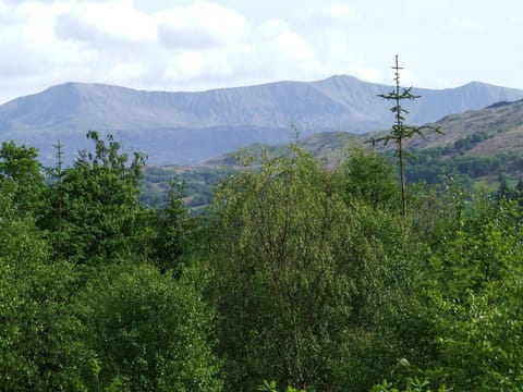 Coed y Brenin Mountain Bike Centre.