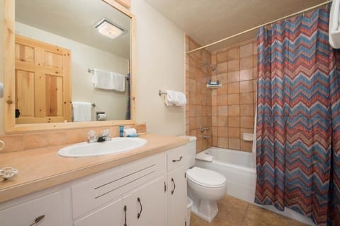 Combined shower/tub, hair dryer, towels