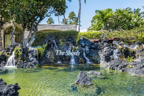 Welcome to the Shores at Waikoloa