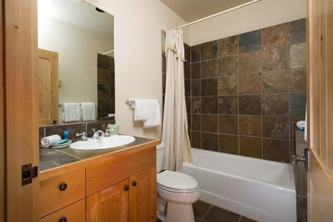 Combined shower/tub, hair dryer, towels