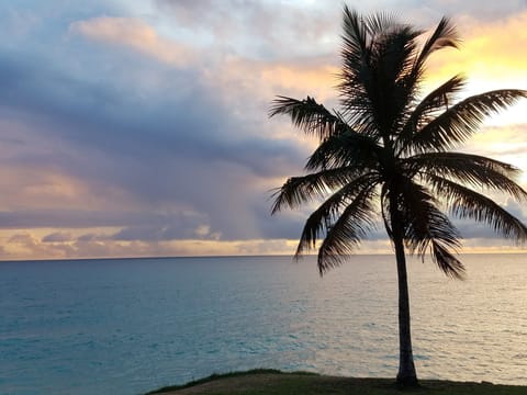 Beach nearby, sun loungers, beach towels