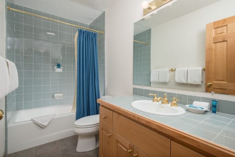 Combined shower/tub, hair dryer, towels