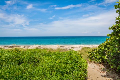 Beach nearby, sun loungers