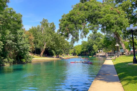 Gorgeous Comal River!