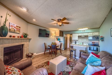 Living Room with sofa sleeper.