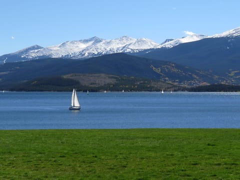 Summer Lake View - Summer Lake View