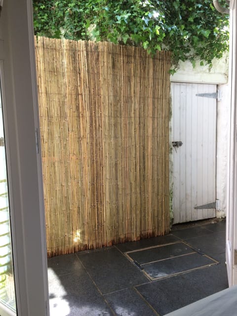 Courtyard and storage shed from main bedroom 