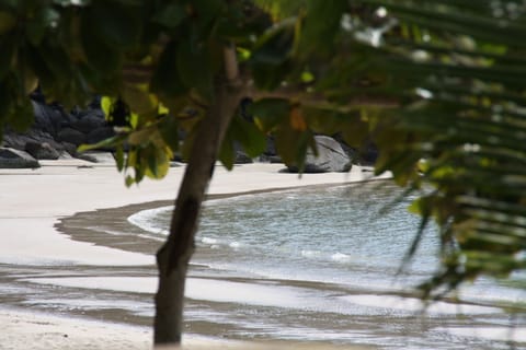 Beach nearby, sun loungers