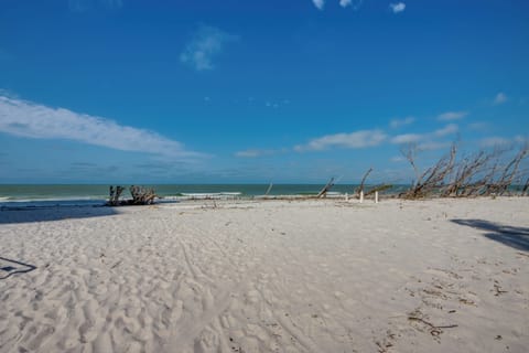 On the beach