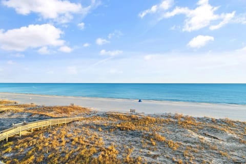 On the beach