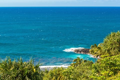 Grounds View - Grounds View