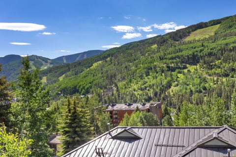 The spring and summer bring vibrant greens while the fall brings the golden aspens that Colorful Colorado is known for!