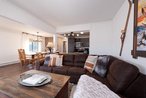 Main Living Space (TV, wood burning fireplace and deck) and awesome views