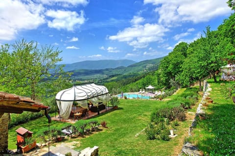 Garden, Outdoor, Scenic View, Summer