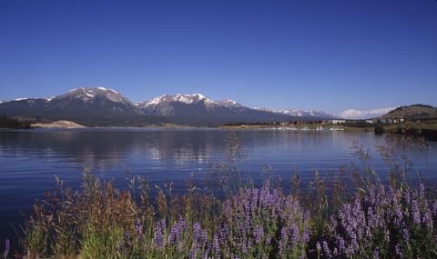 View from Rec Path - View from Rec Path