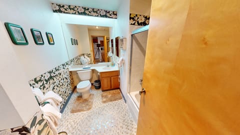 Combined shower/tub, hair dryer, towels