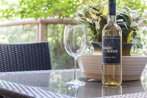 Serene outdoor patio with seating and scenic views, all you need to do is just enjoyyy!