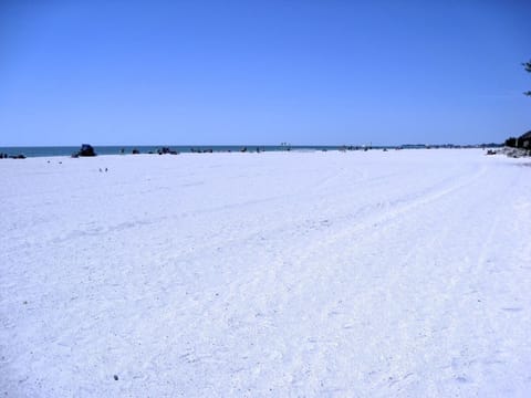 On the beach