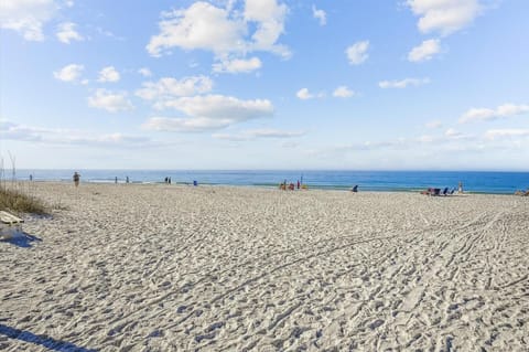 Sun loungers, beach towels