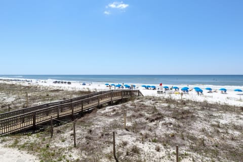 On the beach